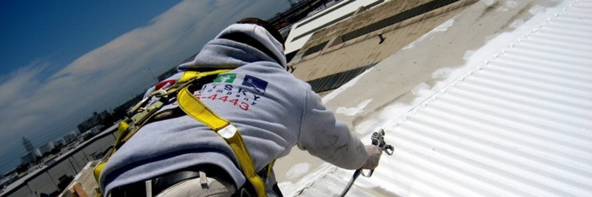 cropped-Roof-Painting-3