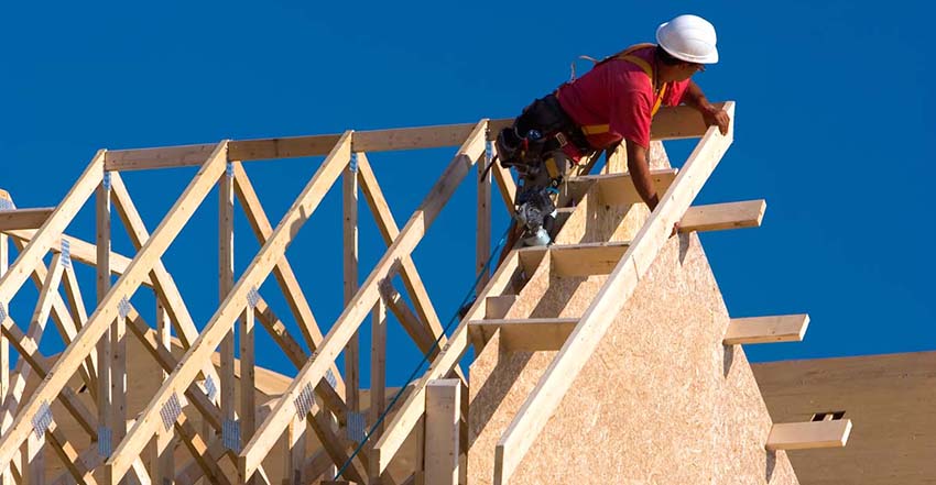 Carpenter