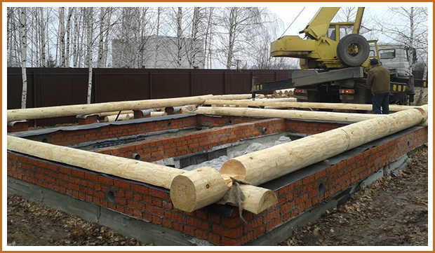Без имени-1